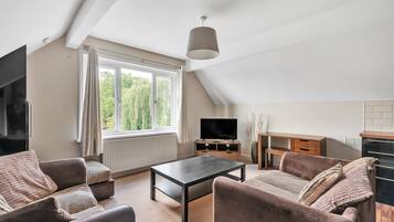 32-英寸智能电视 (配备数码频道)、电视