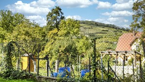 Un paysage rural avec un vignoble, une remise jaune et une maison avec un toit rouge.