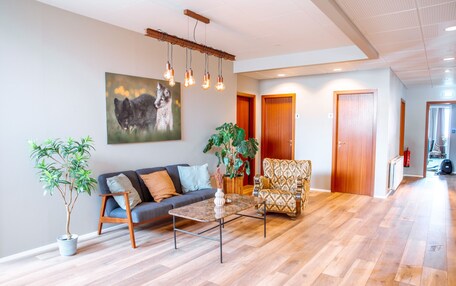 Un amplio salón con sofá, sillón, mesa de centro y plantas en macetas.