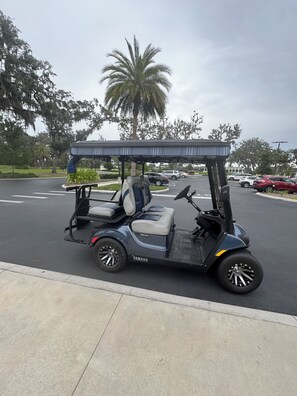 Property grounds - Villages, 3bed- 2.5ba waterfrnt+ golf cart- all bedrooms have king beds! (Wildwood)