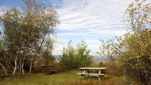 Ein Picknicktisch in einer grünen Wiese mit Bäumen und weiter Aussicht.