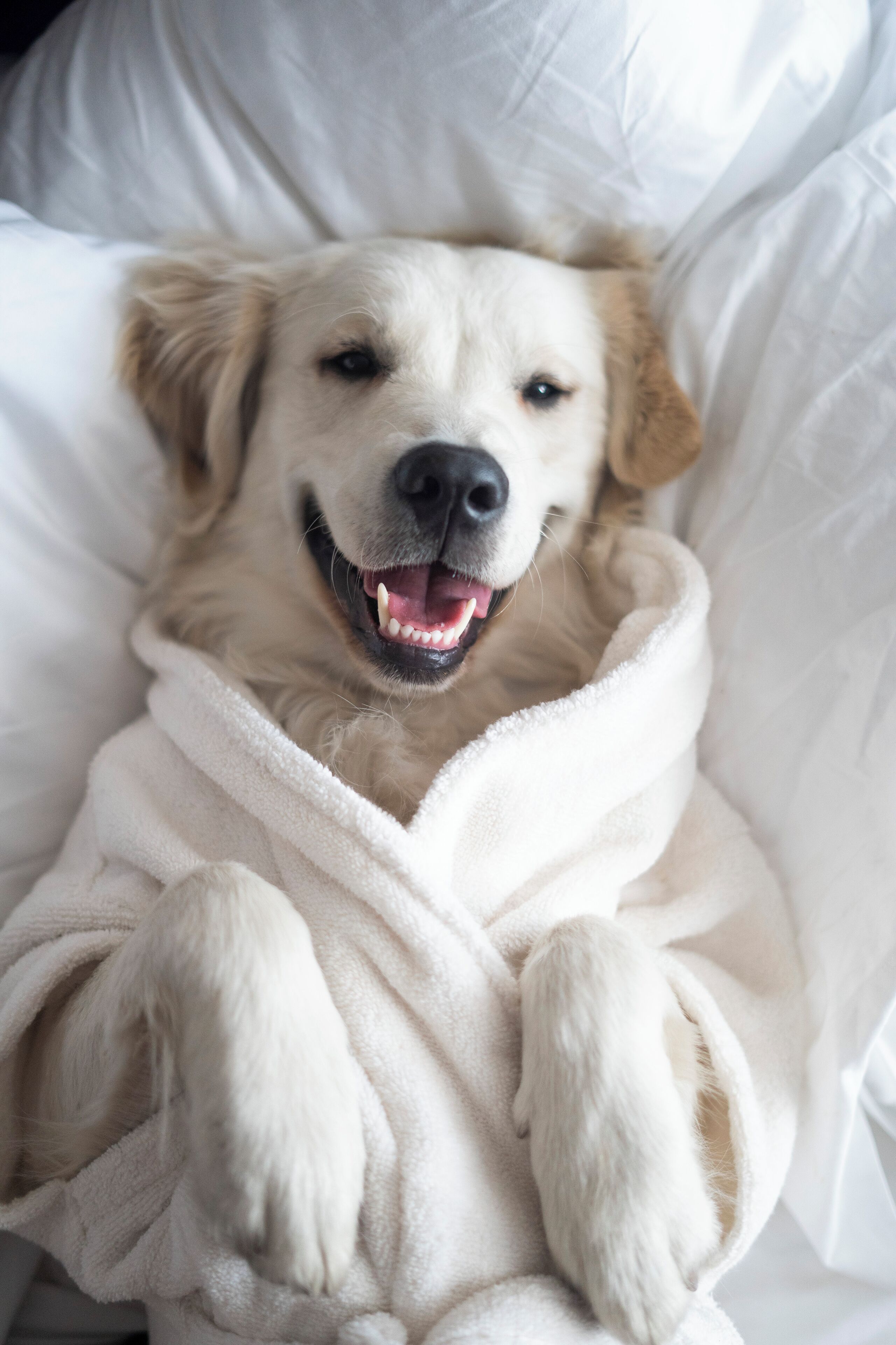 Foto - Mondrian Mexico City Condesa