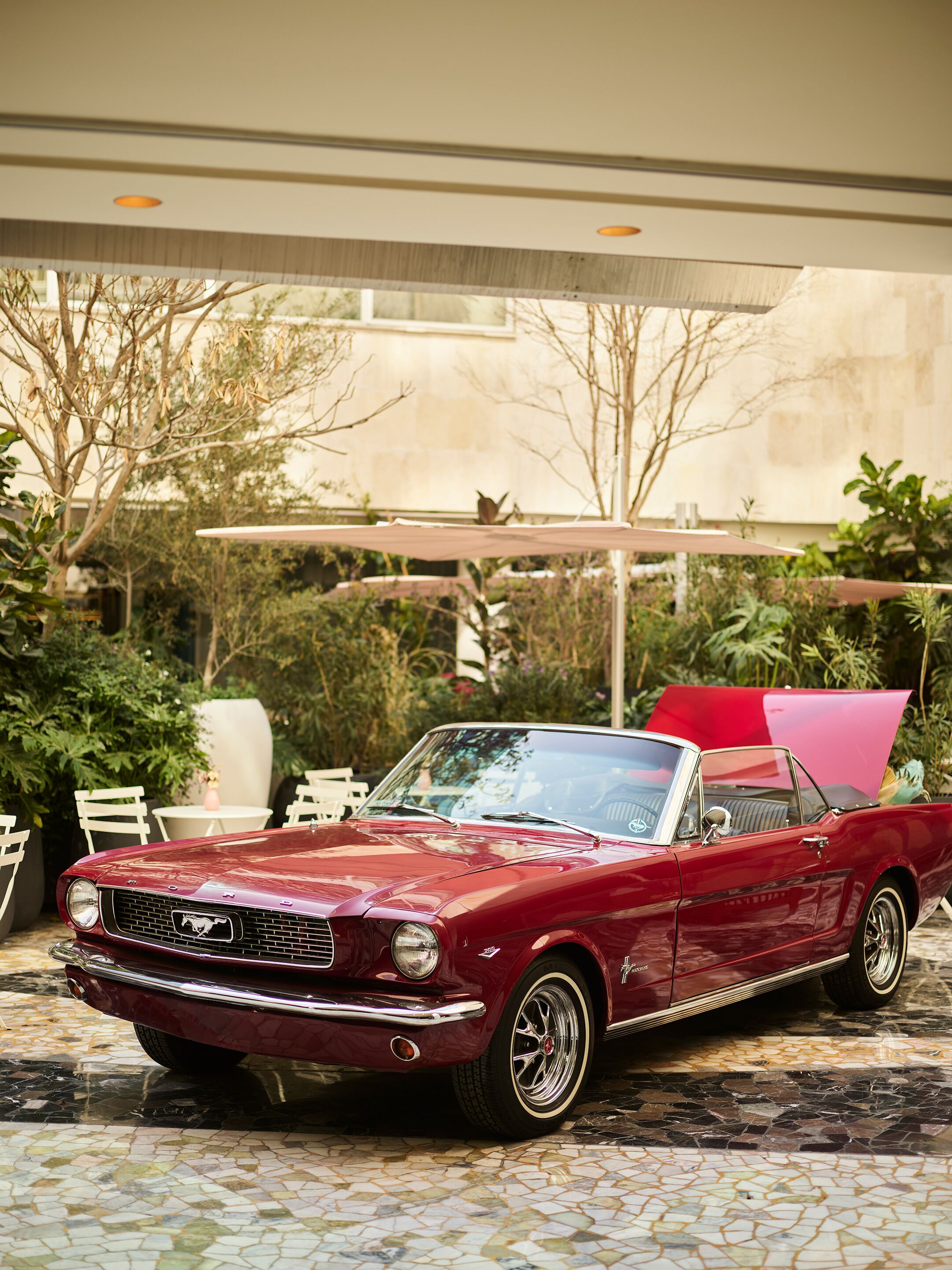 Foto - Mondrian Mexico City Condesa