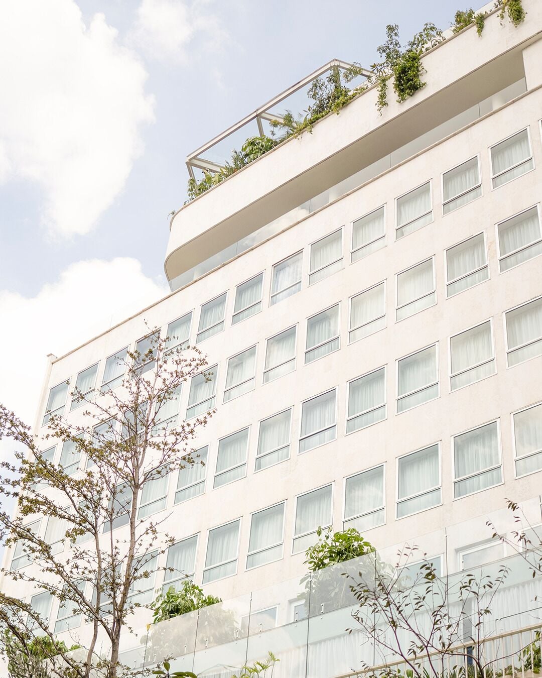 Foto - Mondrian Mexico City Condesa