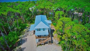 A coastal house surrounded by dense pine trees with a clear view of the ocean.