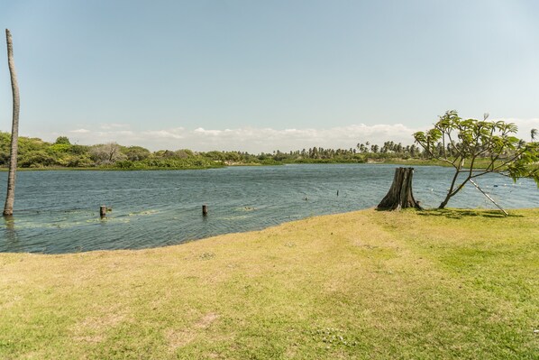 Une zone herbeuse au bord du lac, avec des arbres et un ciel dégagé.