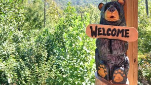 Escultura de urso de madeira com uma placa de 'Welcome', ao fundo vegetação exuberante e montanhas.