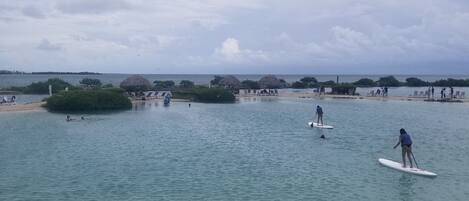 بالقرب من الشاطئ