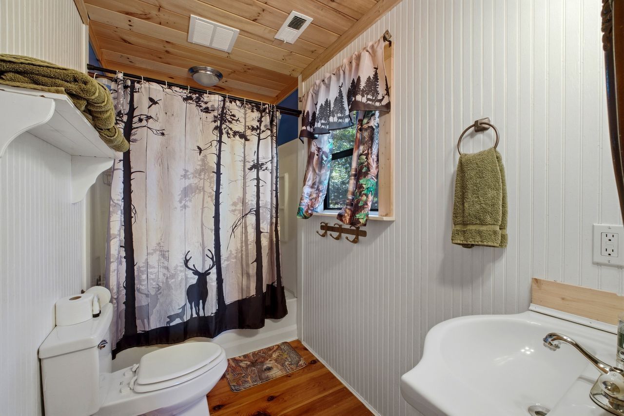 A bathroom with a toilet, sink, shower curtain with forest design, and a towel rack.