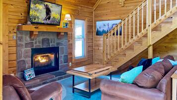 TV, fireplace, video games, books