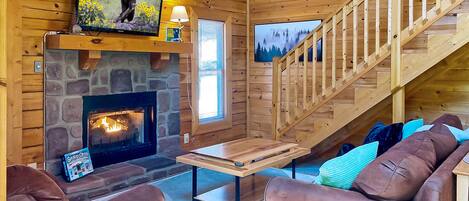 TV, fireplace, video games, books