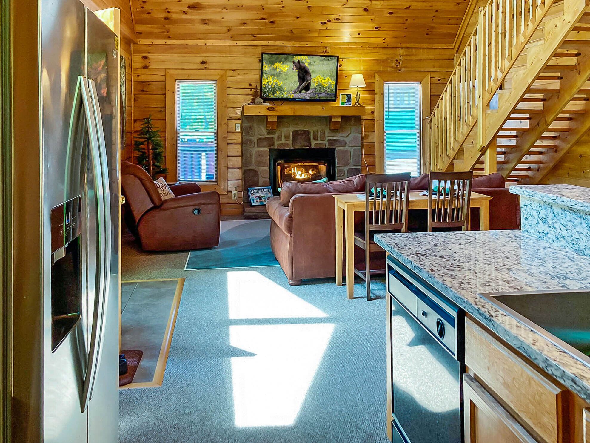 TV, fireplace, video games, books