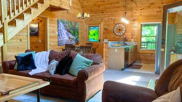 TV, fireplace, video games, books