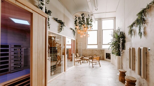 Un interior moderno con zona de cocina, muebles de madera y plantas decorativas.