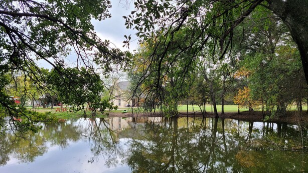 Ein friedlicher Park mit einem Teich, der Bäume und ein Gebäude in der Ferne spiegelt.