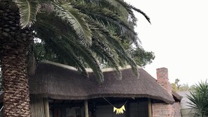 A pool area with a thatched-roof structure, palm trees, and a brick building.