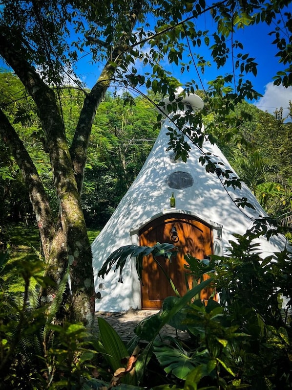 Una estructura de domo geodésico blanco con una puerta de madera, rodeada de abundante follaje y árboles.