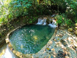 A clear, stone-lined pool with a waterfall feature surrounded by lush greenery.