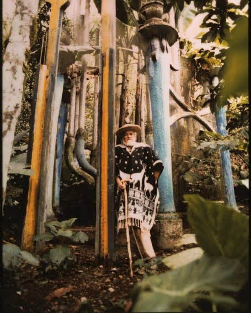 A person in a forested area with a rustic, vine-covered structure.
