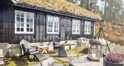 4 bedroom pet friendly home in Eggedal