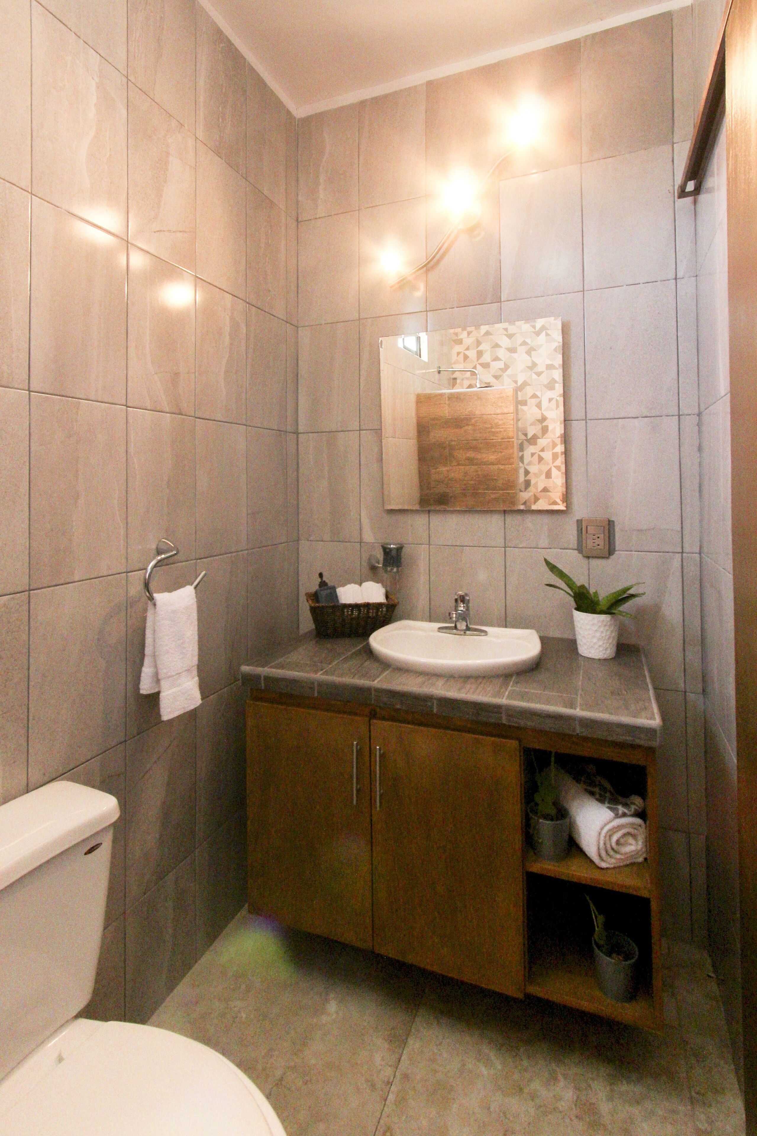 A bathroom with a toilet, sink, mirror, and a cabinet with a potted plant.
