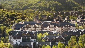 A residential area with multiple two-story houses, surrounded by dense forest.