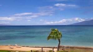 A beach with a palm tree, lounge chairs, and a clear view of the ocean. - Aloha Maui Condos (Lahaina)