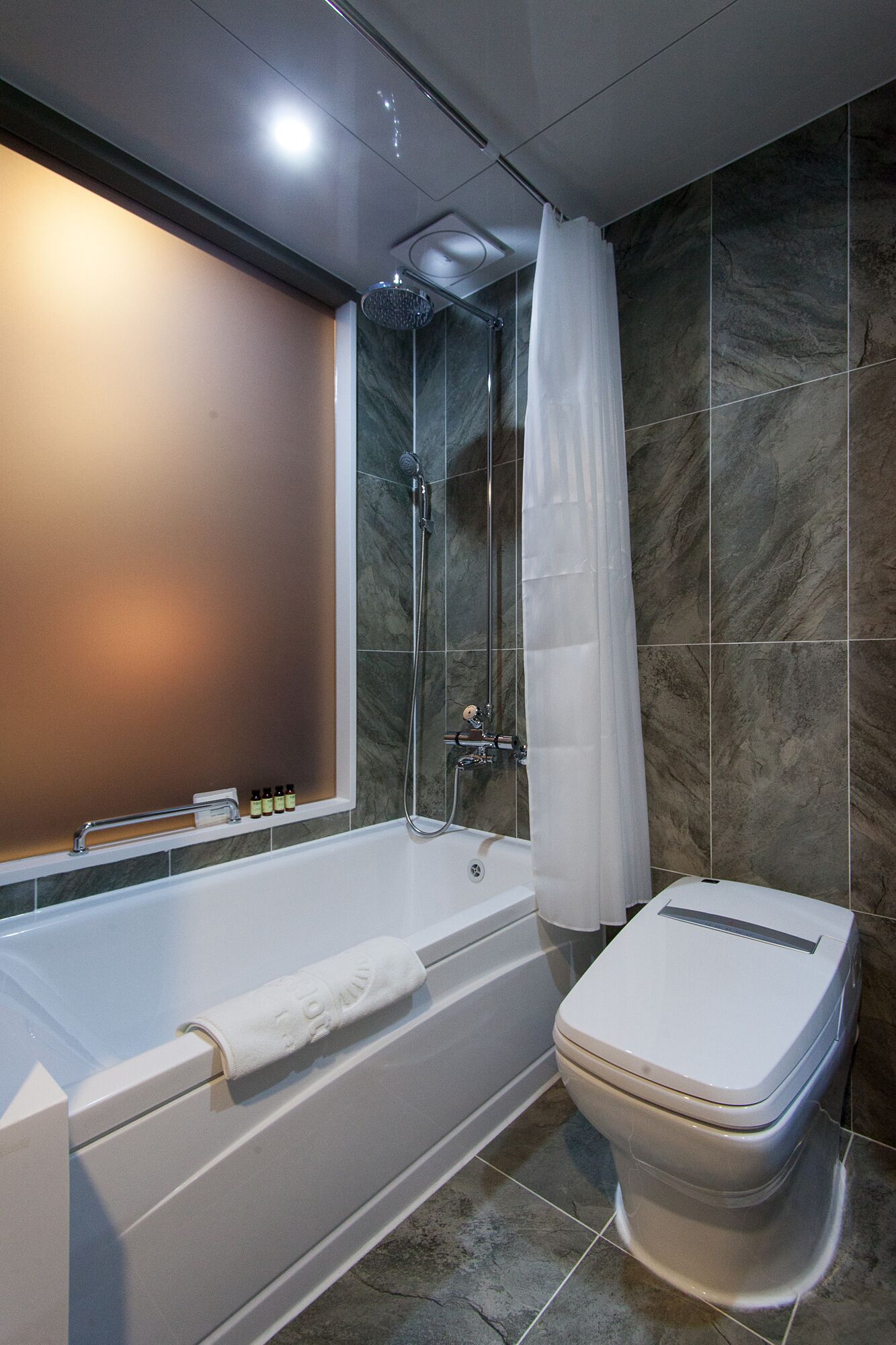 Hair dryer, slippers, bidet, towels