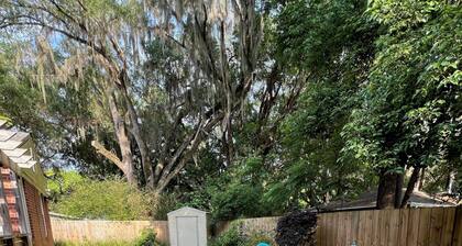 Groovy Gator Grotto - Walk to the Stadium