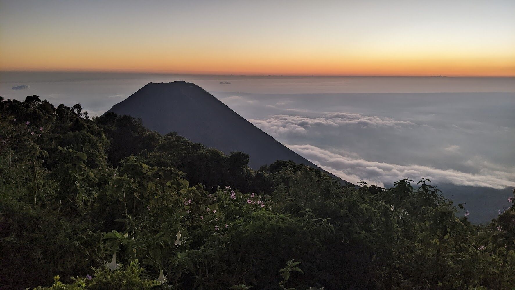 A mountain with a forested foreground and a view of the ocean at sunrise or sunset.