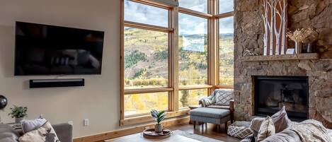 TV, fireplace
