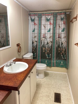 Combined shower/tub, towels, soap, shampoo