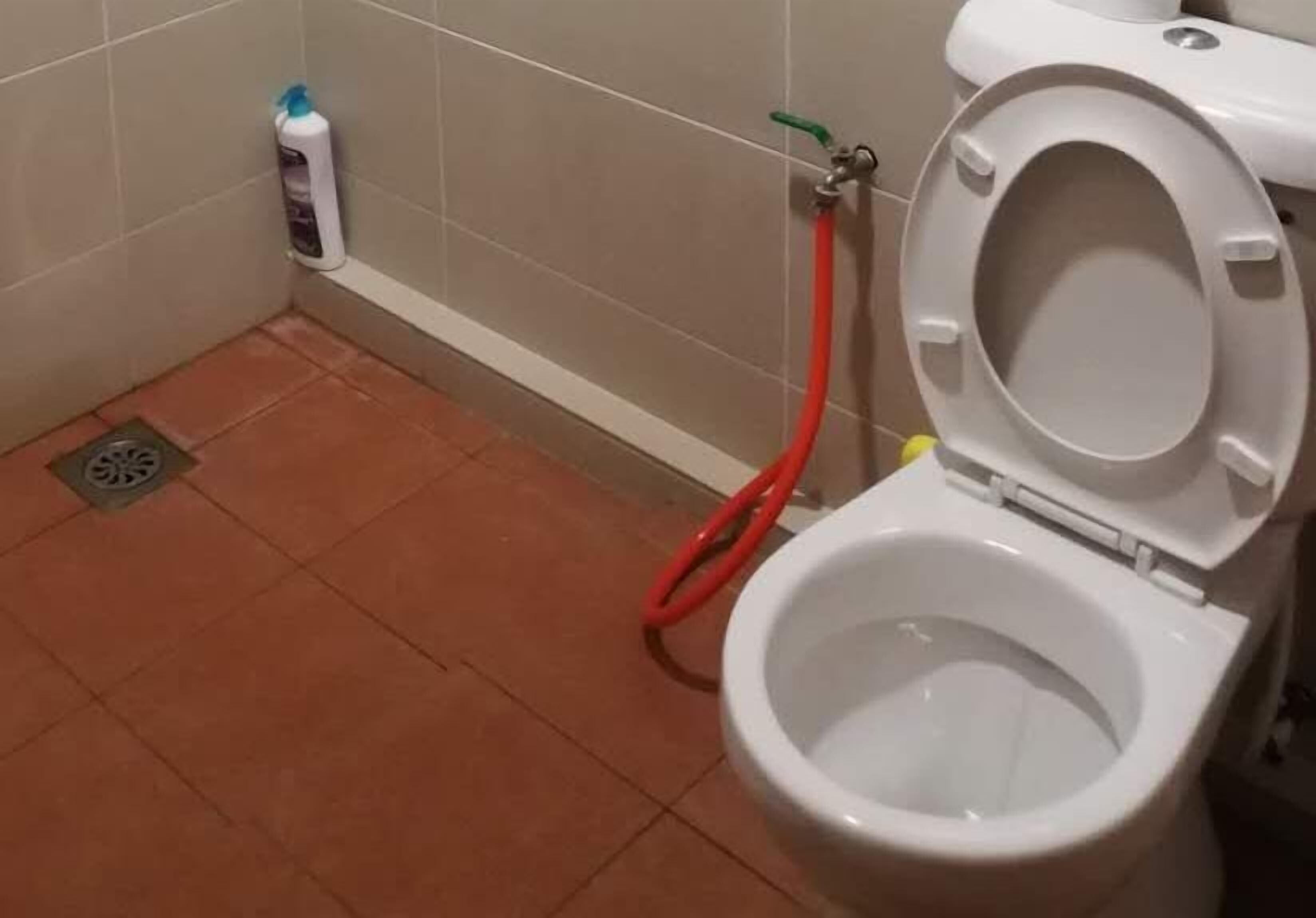 Combined shower/bathtub, free toiletries, hair dryer