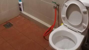 Combined shower/bathtub, free toiletries, hair dryer