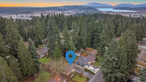 An aerial view of a residential area with houses surrounded by dense forests, a clear road, and a distant body of water with mountains in the background.