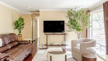 Smart TV, books