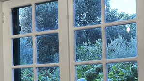 Una puerta blanca con varios paneles de vidrio, un pomo de latón y vistas a vegetación al exterior.