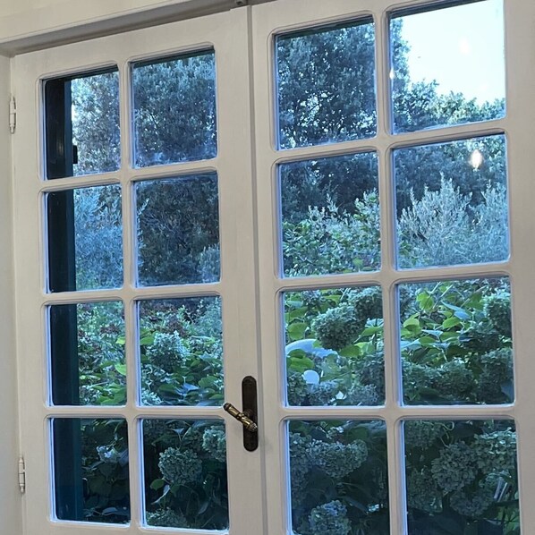 A white door with multiple glass panels, a brass handle, and a view of greenery outside.
