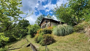 Ein Haus, umgeben von üppigem Grün und blauem Himmel.