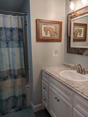 Combined shower/tub