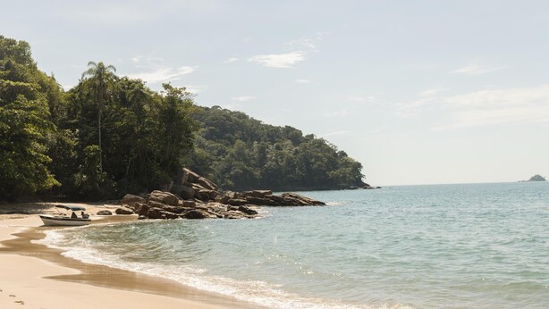 Una spiaggia con una barca, un litorale roccioso e una fitta foresta.