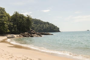 Une plage avec un bateau, un rivage rocheux et une forêt dense.