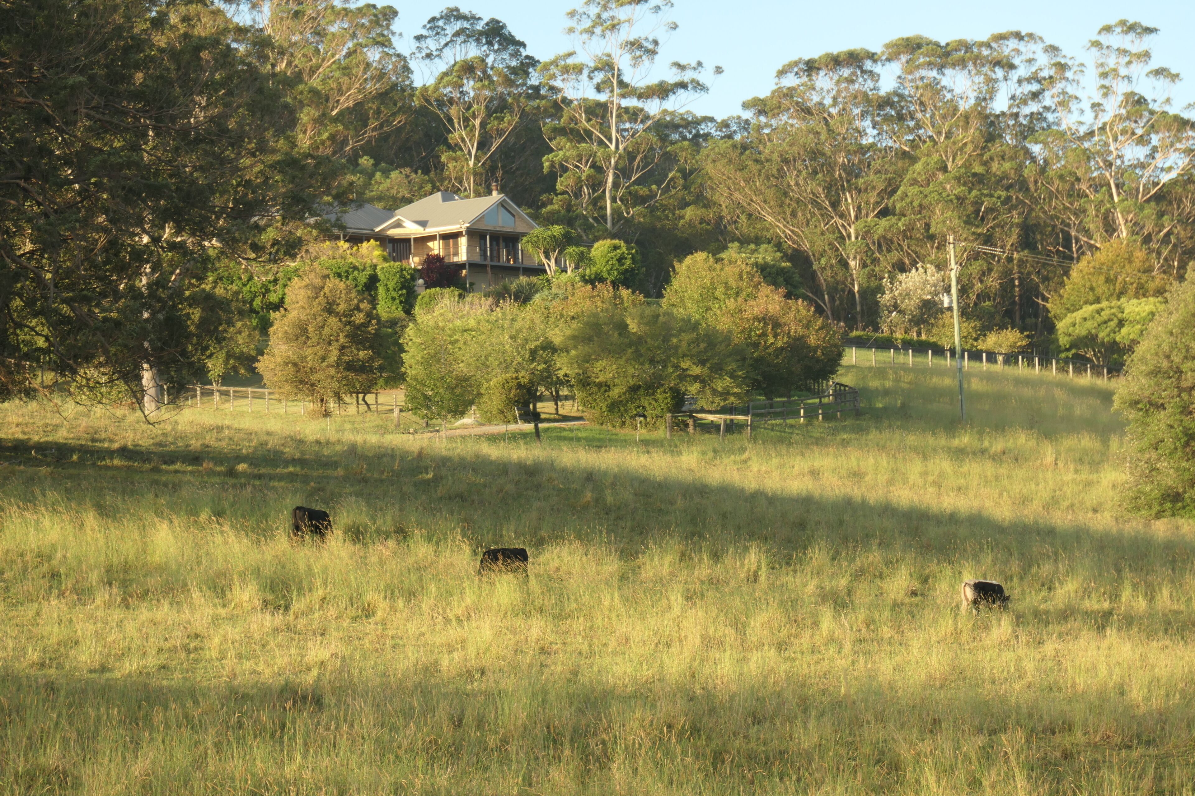 A rural landscape with a house surrounded by trees and a grassy field.