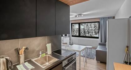 Continental 309 · Joli Studio Cosy Centré et Proche des Télécabines