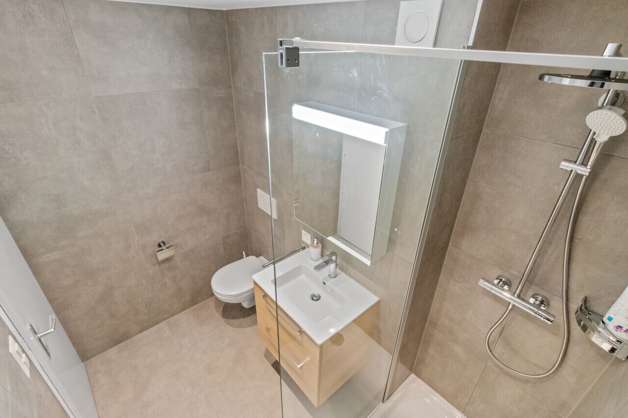 Ein modernes Badezimmer mit einer Duschkabine, einem weißen Waschbecken und einer Toilette.