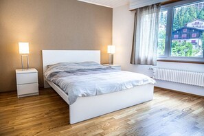 1 chambre, bureau, fer et planche Ă repasser, lit parapluie