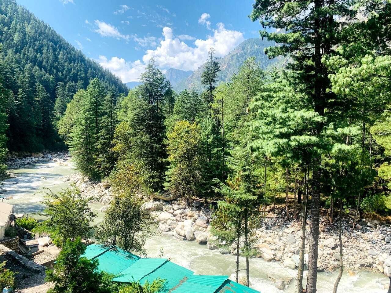 A river flowing through a forested area with a mountainous backdrop.