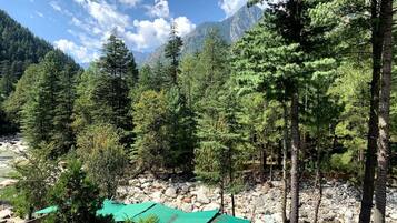 Un paisaje montañoso con un río, un bosque denso y un edificio pequeño con techo verde.