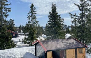 Exterior - 3 bedroom stunning home in Sjusjøen (Sjusjøen)