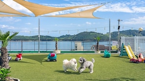 A grassy outdoor area with a view of a body of water and hills in the background. - Namhae Spring, Summer, Fall, Winter Pet- (Namhae)